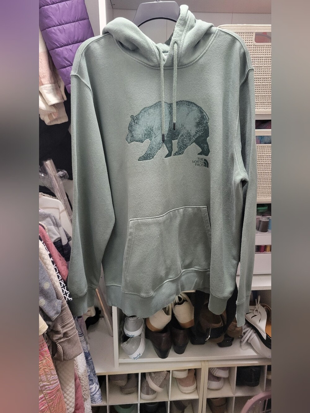 The North Face Men's Sage Green Bear Graphic Hoodie